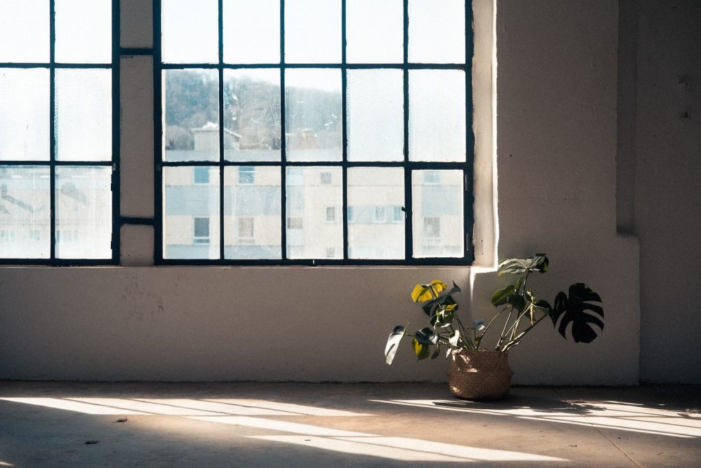 Image of a big window with a plant next to it, creating a natural ambiance.